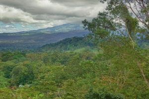 Sustainable Farming Practices From Alajuela, Costa Rica Image